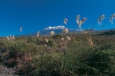 Mount Ruapehu