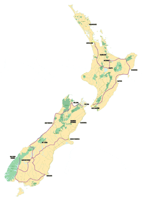 21 days New Zealand tour